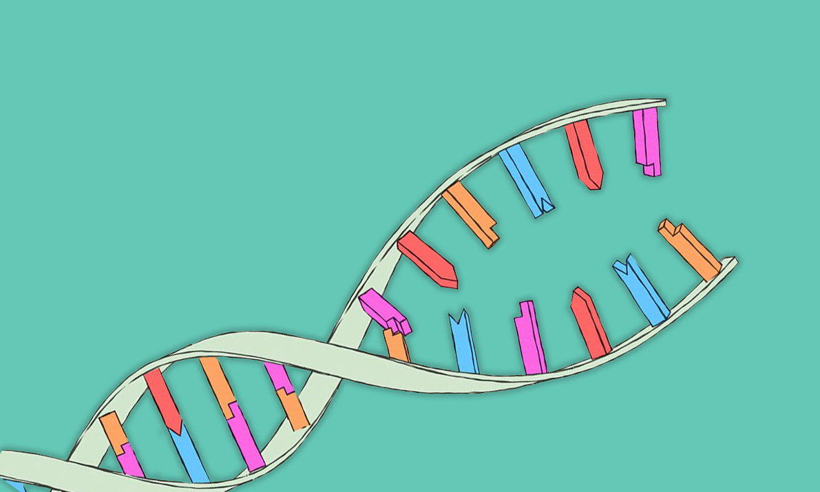 Endretmann dna utentekst